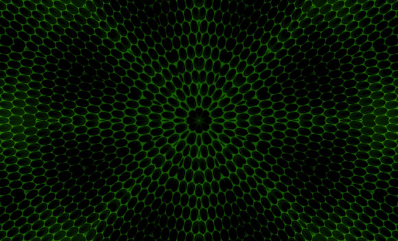 Download Abstract Modern Texture Backgrounds - Modern texture Collection